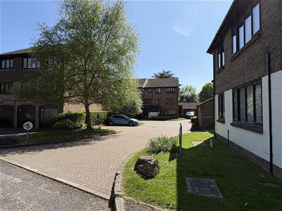 Picture 9